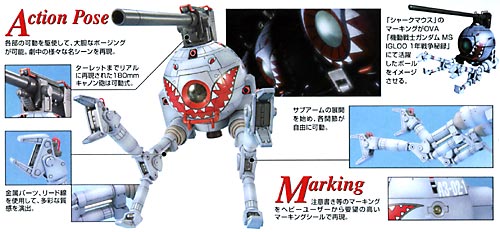 mg-rb79Shark_102.jpg